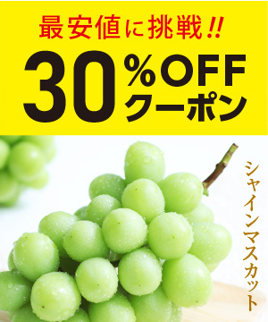 シャインマスカットがお買い得！今日買わなくていつ買うの？