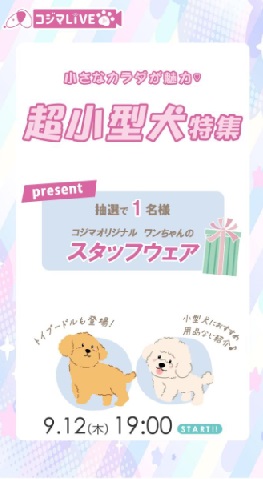 超小型犬特集